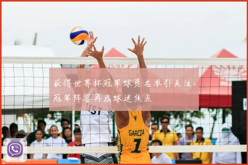 获得世界杯冠军球员名单引关注,冠军阵容再成球迷焦点