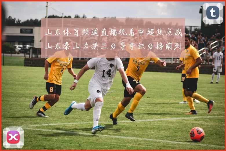 山东体育频道直播观看中超焦点战山东泰山力拼三分争夺积分榜前列