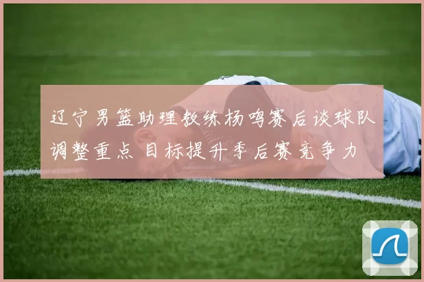 辽宁男篮助理教练杨鸣赛后谈球队调整重点 目标提升季后赛竞争力